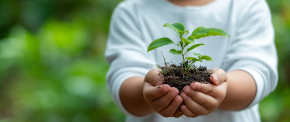 北京经济技术开发区 《关于促进绿色低碳高质量发展的若干措施(2.0版)》发布