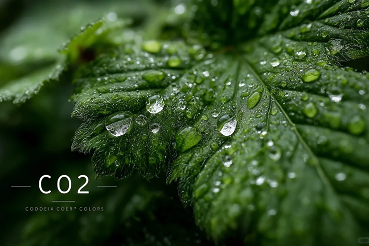 浙江发布《低（零）碳园区建设实施方案（征求意见稿）》